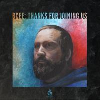 Виниловая пластинка BCEE / THANKS FOR JOINING US (2LP)